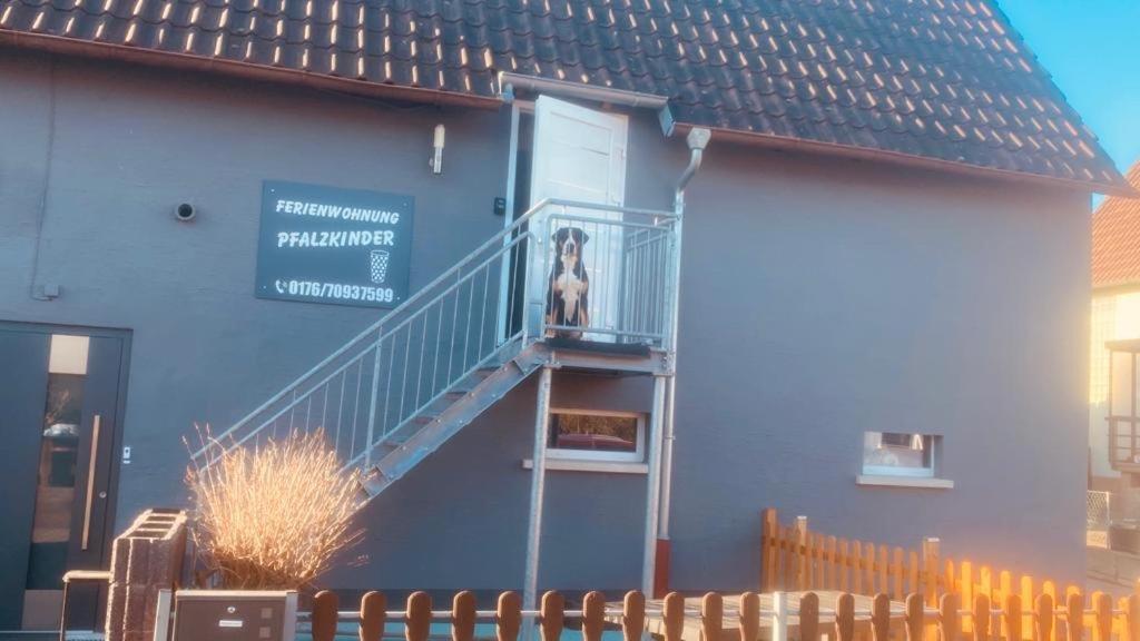 Pfalzkinder Neustadt an der Weinstraße エクステリア 写真